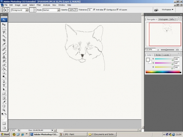 Creation of little cross-eyes: Step 1